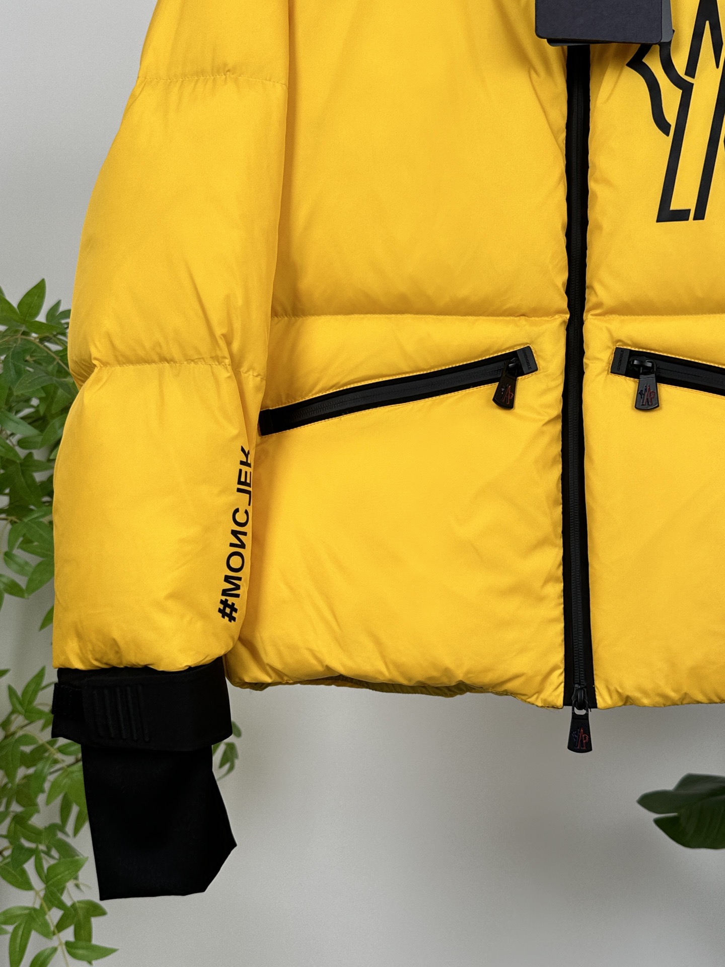 Moncler Down Jackets